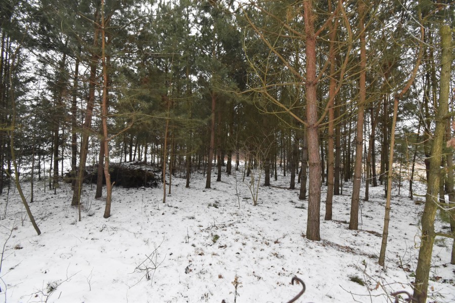białostocki, Choroszcz, Żółtki, Dom na sprzedaż