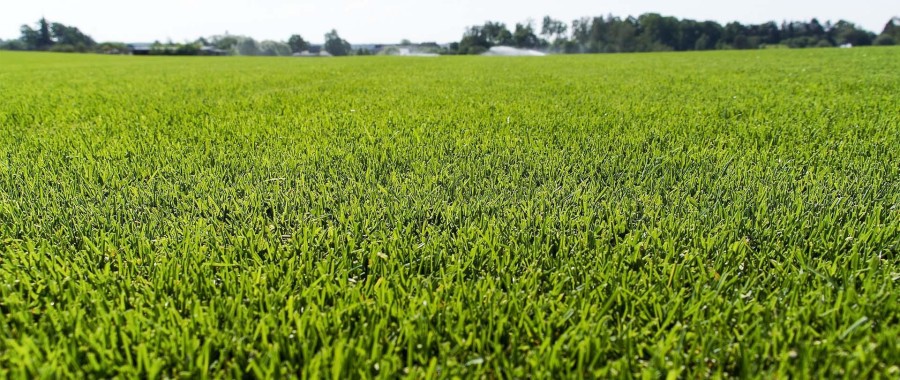 białostocki, Zabłudów, Zabłudów, Działka na sprzedaż