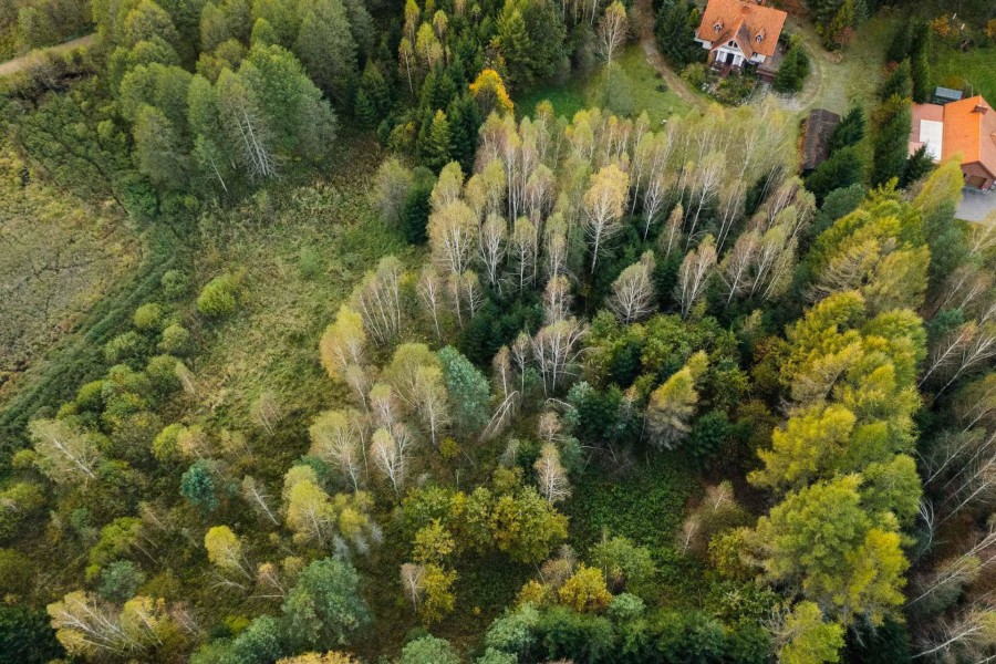białostocki, Wasilków, Katrynka, Działka na sprzedaż
