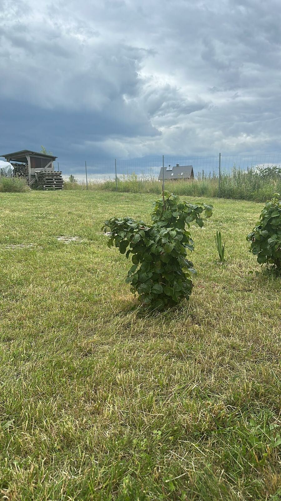suwalski, Filipów, Czarne, Działka na sprzedaż