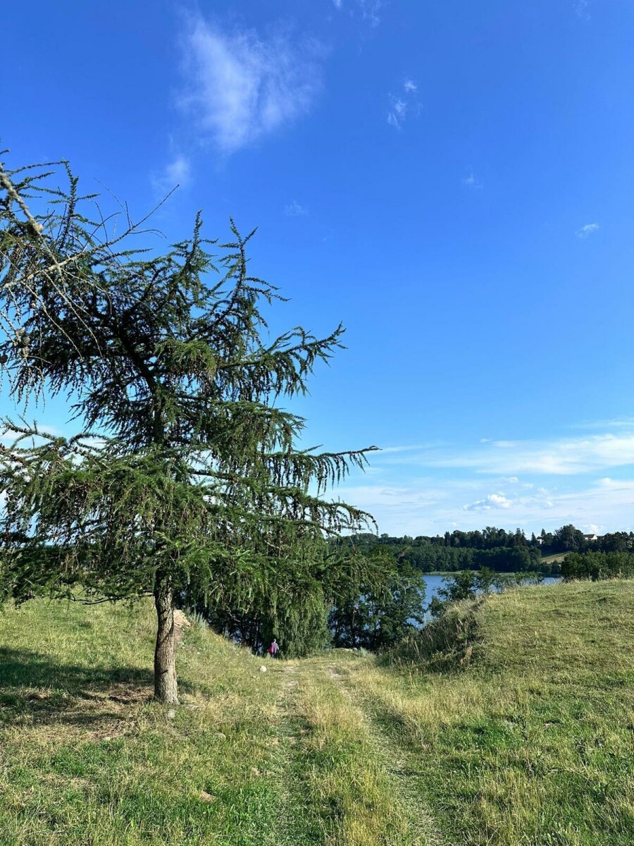 suwalski, Filipów, Czarne, Działka na sprzedaż