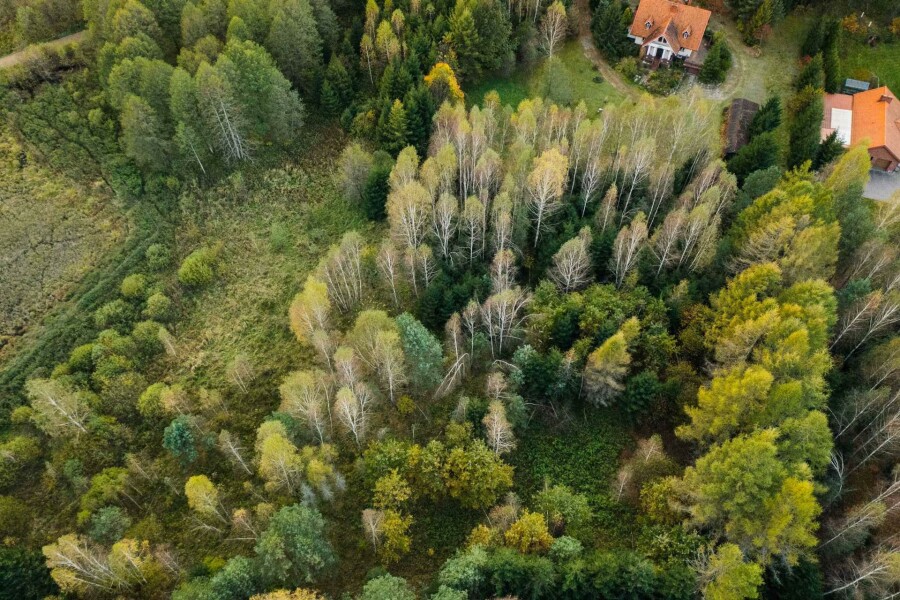białostocki, Wasilków, Katrynka, Działka na sprzedaż