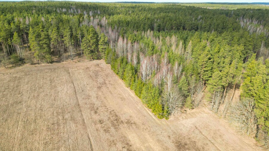 białostocki, Michałowo, Pieńki, Działka na sprzedaż